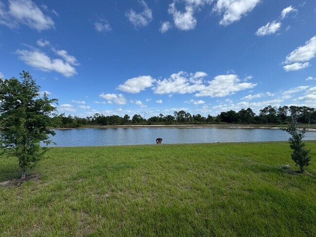 Foto del edificio - 1153 Oceanic Rd