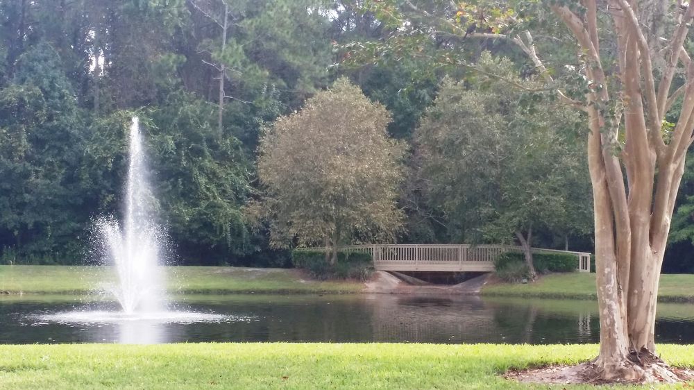 7701 Timberlin Park Blvd Unit 1516, Jacksonville, FL 32256 Condo for