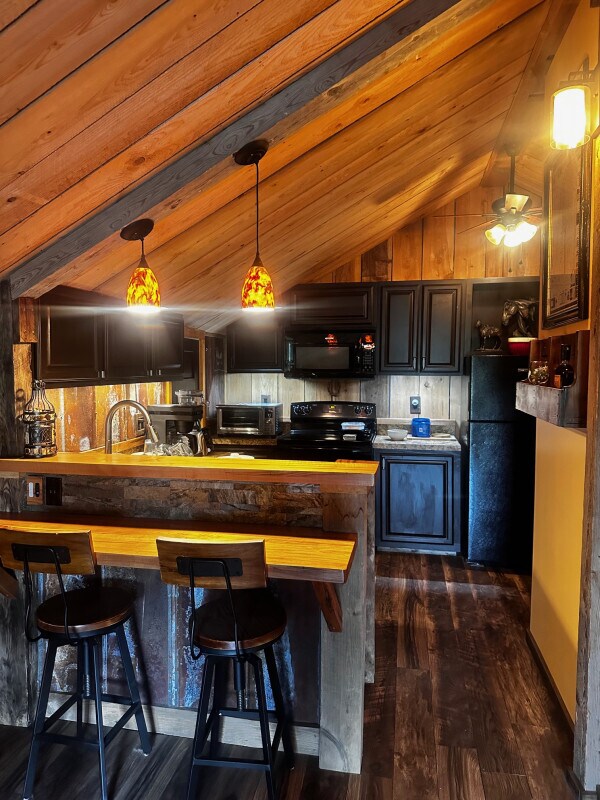 view of kitchen and breakfast bar - 1314 Rugby Rd