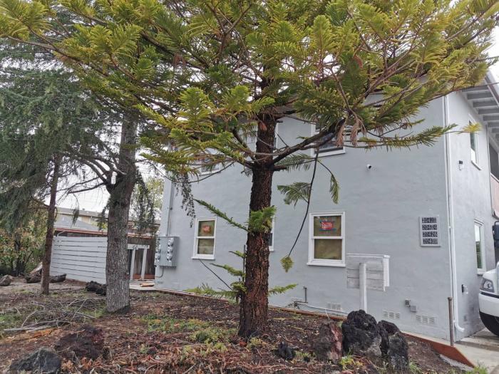 Primary Photo - 2 bedroom in Castro Valley CA 94546