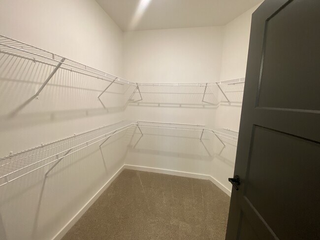 Interior Photo - The Wren Apartments