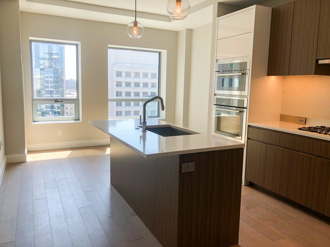 100 Shawmut Ave Unit 911, Boston, MA 02118 Condo for Rent in Boston