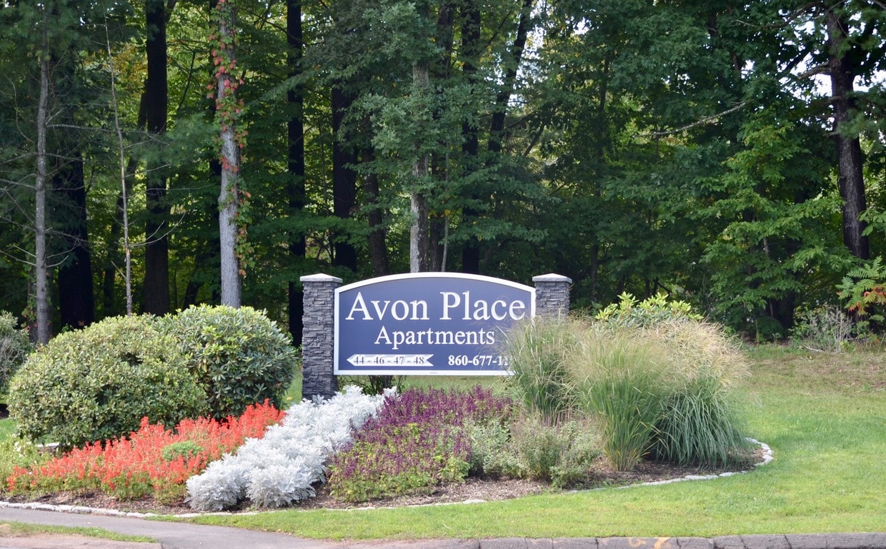 Primary Photo - 44 Avonwood Rd