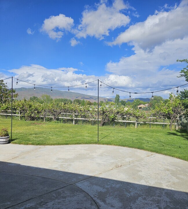 Open back yard view - 6488 S Honeylocust Pl