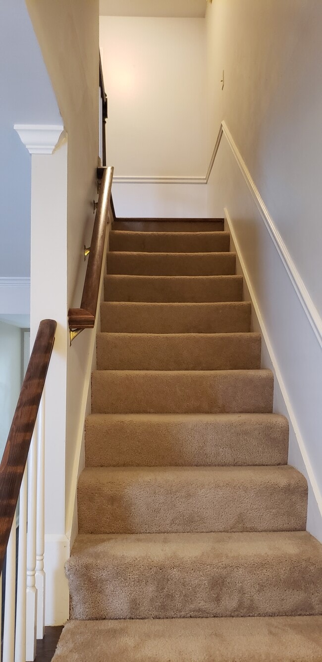 The stairs are the only carpeting for safety and abated noise. - 1205 Brentwood Pt