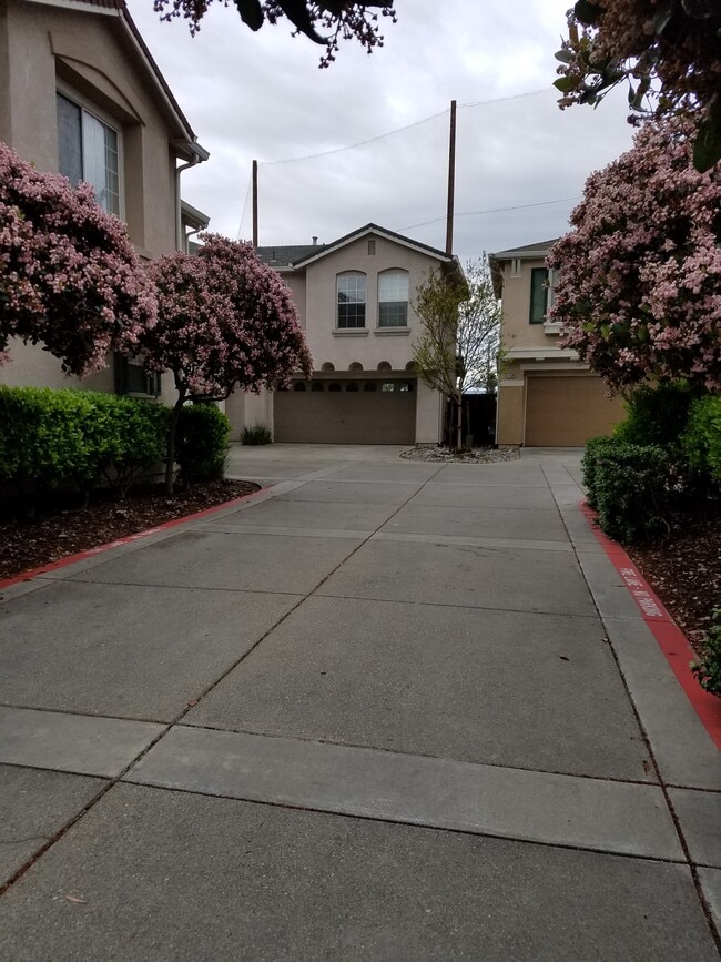 Building Photo - 1505 Hermocilla Way
