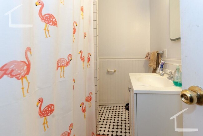 Building Photo - BU West  Egmont and St Paul St Listings are Here for 9.1  4 Bed 2 Bath HURRY  :-) NO FEE