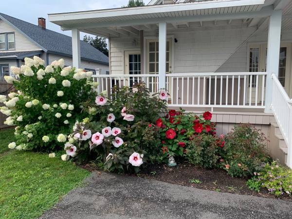 Building Photo - 1665 Central Ave