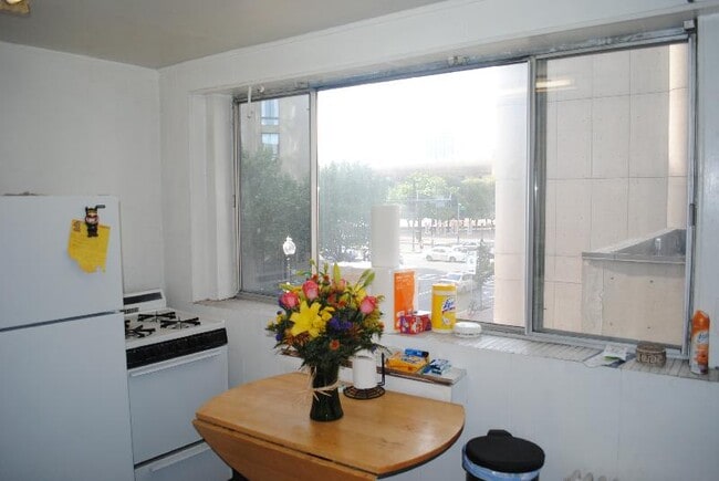 Images are representative samples of the advertised unit. Actual units shown during tours may differ - 248 W Newton St