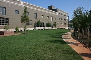 Building Photo - Big Lick Junction