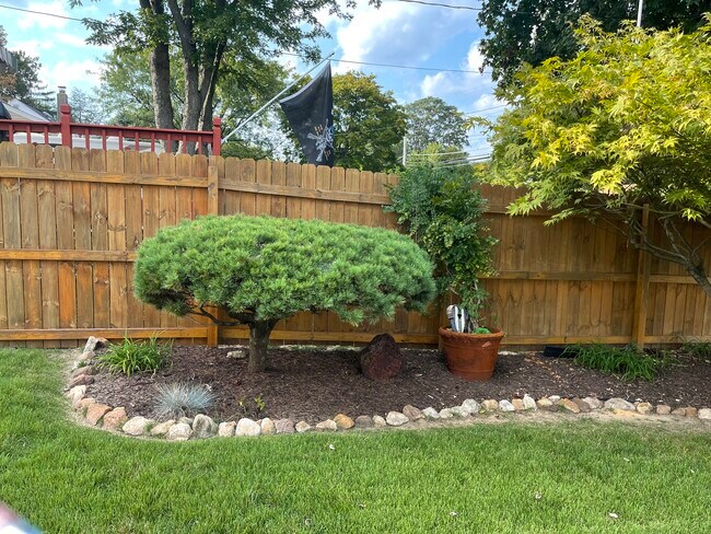 Back yar - 3228 Willoughby Rd