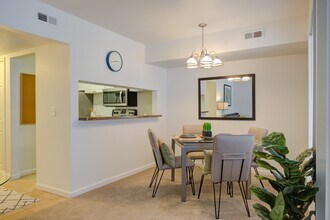 Oak Hill Apartments Photo