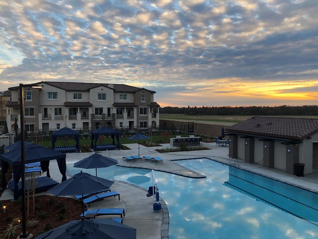 Building Photo - Campus Oaks Apartments