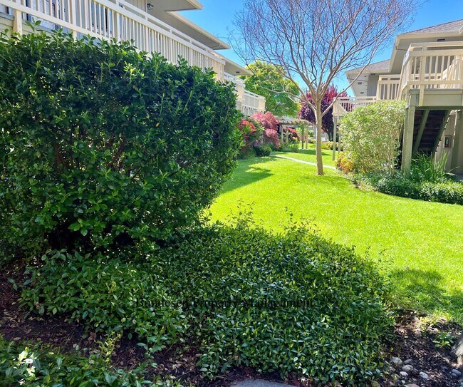 Foto del edificio - 720 Petaluma Blvd S