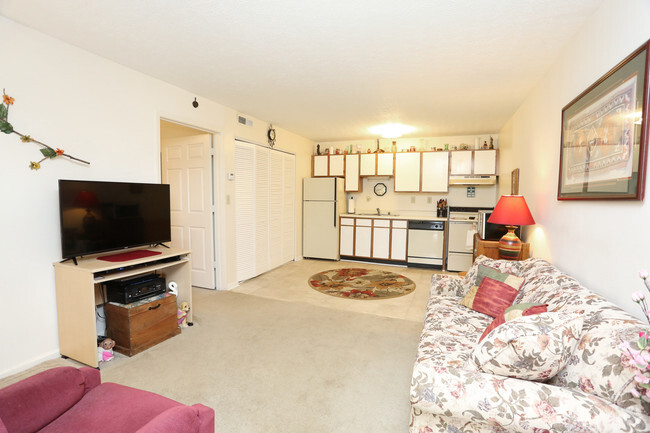 1HAB, 1Ba- 450 ft² - Sala de estar - Tyler Park Apartments