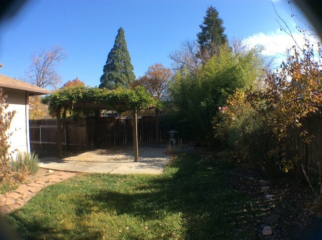Building Photo - 1242 Old Willow Ln