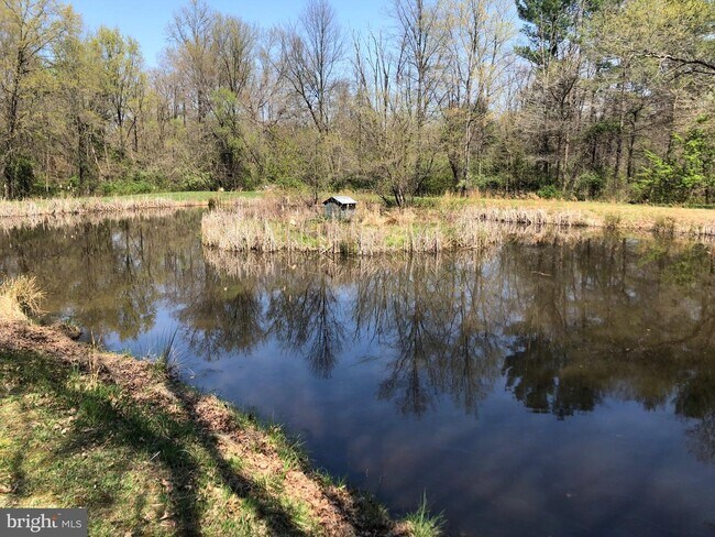 Building Photo - 13452 Piney Run Ln