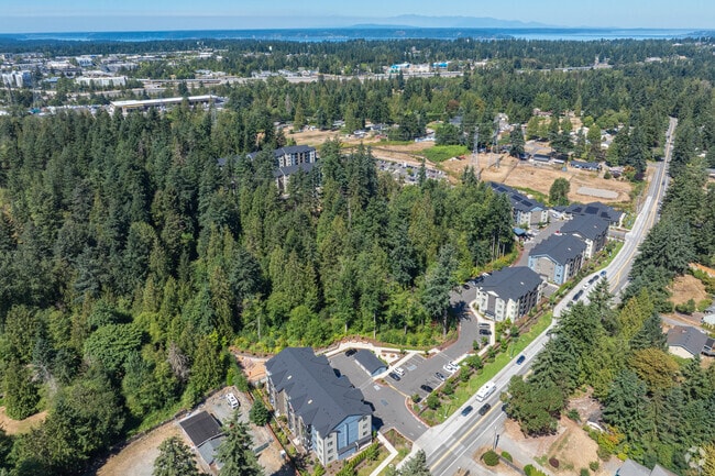 Aerial Context - Watermark