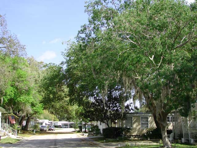 Building Photo - Lakeshore Villas