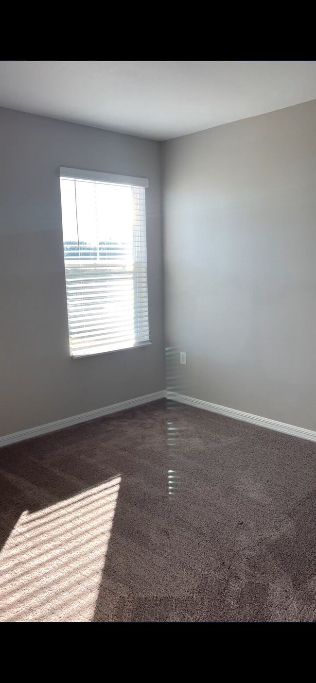 Foto del edificio - 34436 Moonflower Ave