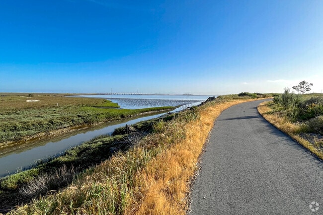 Cooley Landing Park is a 9-acre peninsula at the end of Bay Road in East Palo Alto.