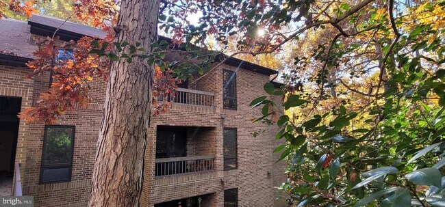 Building Photo - 44695 White Oak Ct