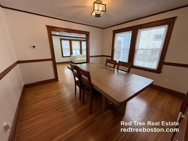 Foto del edificio - 58 Edgecliff Rd