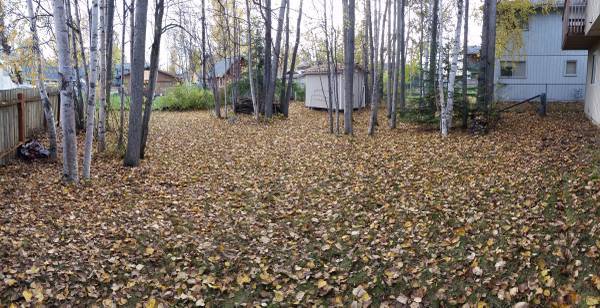 fenced backyard - 8030 Northwind Ave