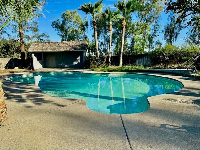 Foto del edificio - $3,300 Fowler & Shepherd, Solar & Swimming...