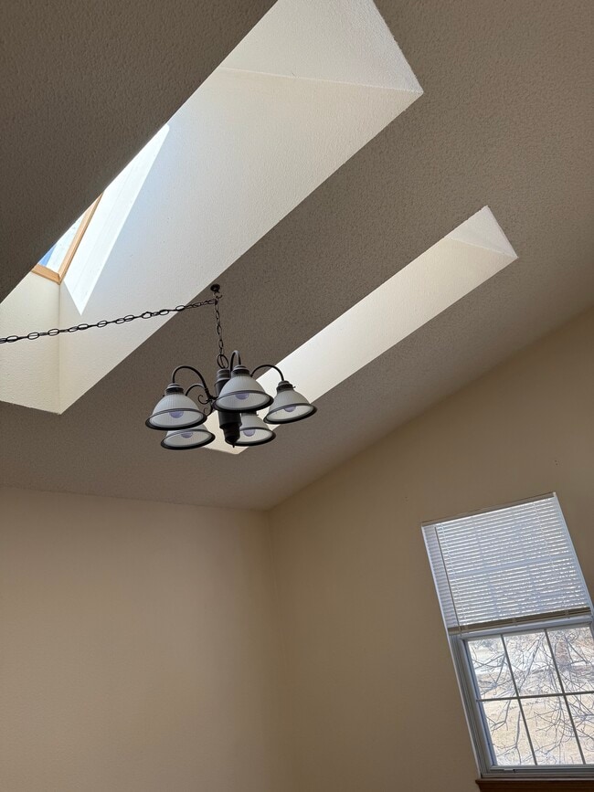 Maestro - 3654 Queen Anne Way