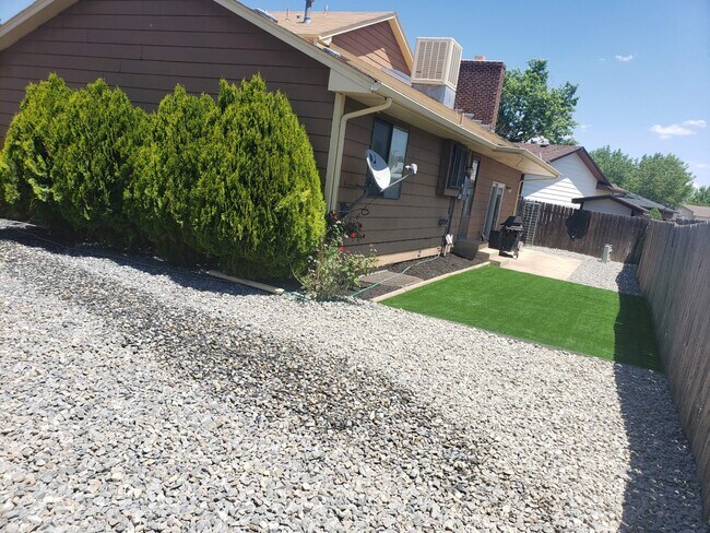 Back yard - 1078 N Pond Dr