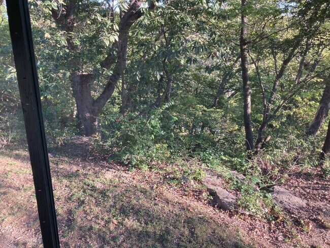 Building Photo - 11311 E 87th St