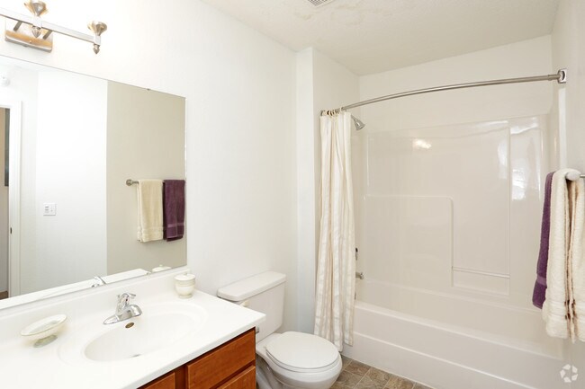 Baño - Pine Tree Apartments