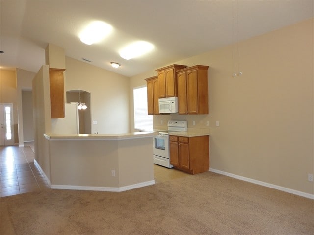 Building Photo - 12906 Cattail Shore Ln