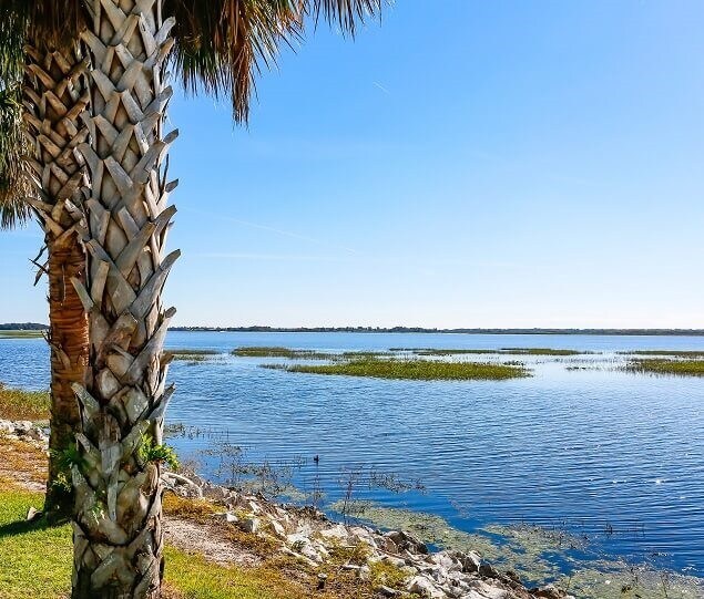 Lake Tohopekaliga is the largest lake in Osceola County