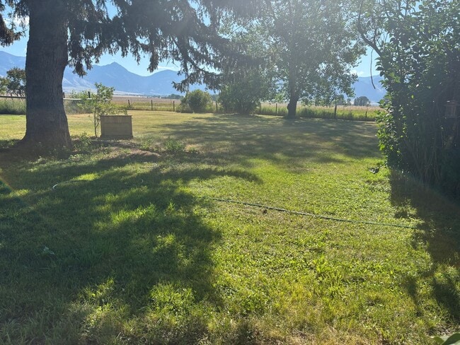 Building Photo - Horse Property for rent with beautiful Bri...