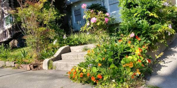 Foto principal - 2531 Benvenue Ave