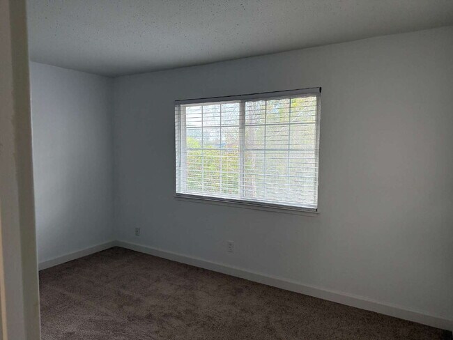 Foto del edificio - Remodeled Santa Cruz Apartment