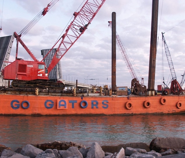 In Gainesville, everyone is a Gators fan