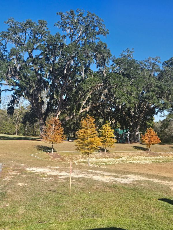 Foto del edificio - 5684 Native Oak Dr