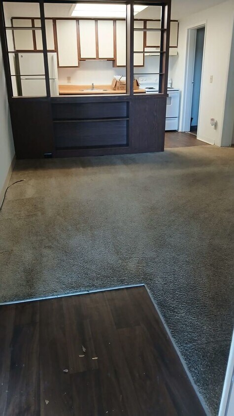 Building Photo - Move-In Special! Fully Renovated 1/1 Available for Immediate Rent!