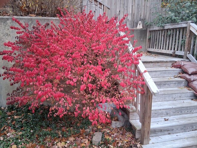 Foto del edificio - 775 Knotty Oak Rd