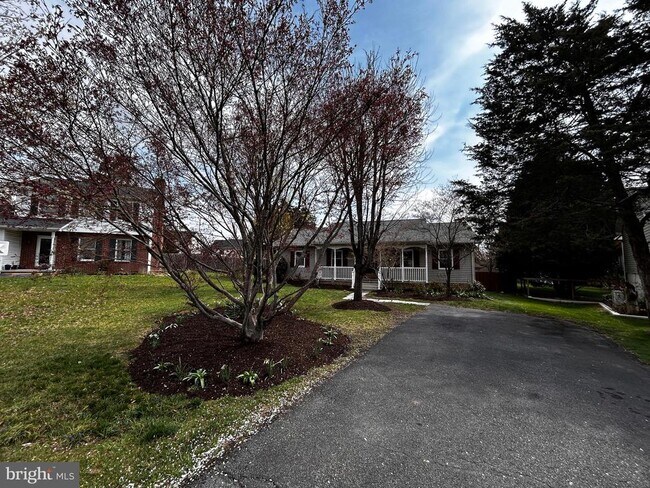 Foto del edificio - 123 Meadowbrooke Pl