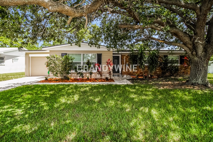 Primary Photo - 3221 Thistle Hill Dr