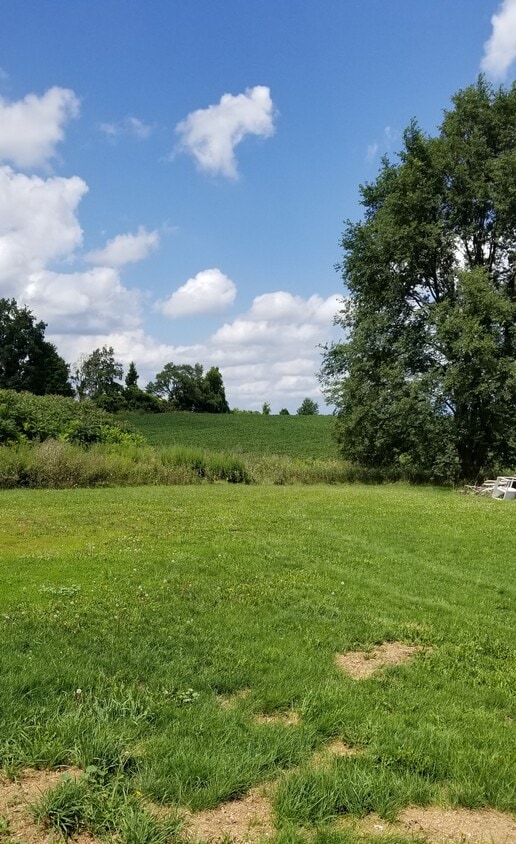 Backyard - 8070 Chili Riga Center Rd