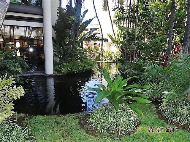 Building Photo - NEAR KAPAHULU/ALA WAI BLVD,  1/1/1, DH/MTN...