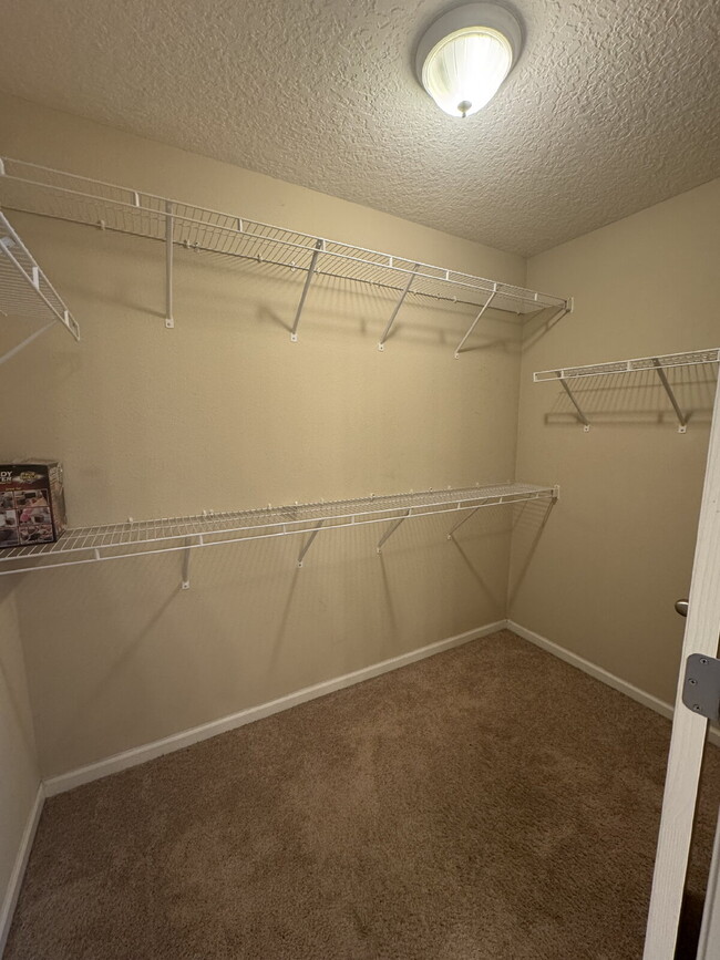 Building Photo - 4 Bedroom Home in Sandler Chase – Jacksonv...