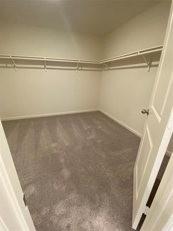 Building Photo - 4000 Tulip Tree Ln