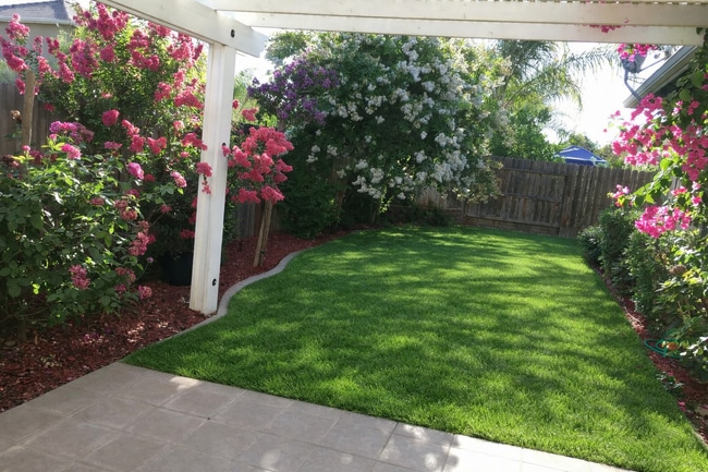 Backyard 2 - 1098 Columbus Way