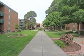 Located at 2201 Ambassador Rd NE in Albuquerque, New Mexico, this single-level outdoor space presents a well-maintained courtyard environment set among classic red brick multi-story buildings. The grounds are defined by a network of wide concrete walkways that provide clear, accessible pathways throughout the property, complemented by dedicated ramp access with metal handrails along the building perimeters.

The landscaping is a notable feature of this space, showcasing a thoughtful mix of lush green lawns, neatly trimmed hedges, flowering rose bushes, decorative gravel beds, and mature trees that provide generous shade across the grounds. Yucca plants and cypress trees add a distinct Southwestern character to the plantings, blending regional flora with traditional garden elements.

Brick-edged garden beds frame curved planting areas, adding structure and visual interest to the open green spaces. The courtyard setting is framed by the surrounding multi-story brick buildings, which feature green-accented balconies overlooking the grounds. Utility areas, including recycling stations and cluster mailboxes, are discreetly positioned along the building edges. The overall environment is open, green, and pedestrian-friendly, creating a welcoming communal outdoor space with a calm and well-kept atmosphere.